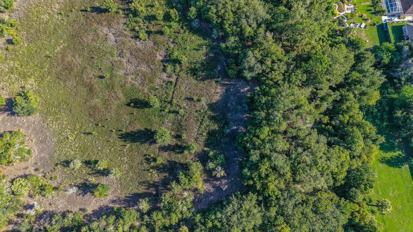 Aerial view of cleared land and retained vegetation